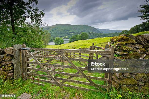 Vista Su Un Muro Di Pietra A Secco In Cumbria - Fotografie stock e altre immagini di Albero - Albero, Ambientazione esterna, Blu