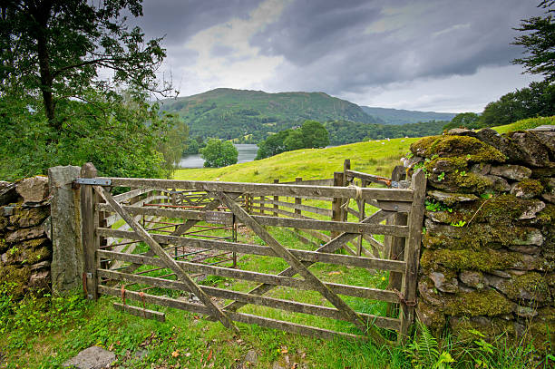 istock View over a dry stone wall in Cumbria 186878736