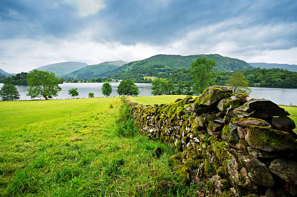 View over a dry stone wall in Cumbria Cumbrian Lake District scene near Grizedale Forest and Coniston Water. The foreground is a typical dry stone wall with pasture land and fells in the background. grasmere stock pictures, royalty-free photos & images