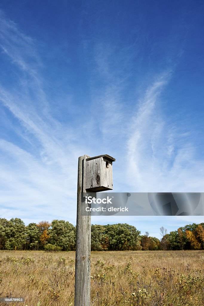 Maison d'oiseau sur Post - Photo de Arbre libre de droits