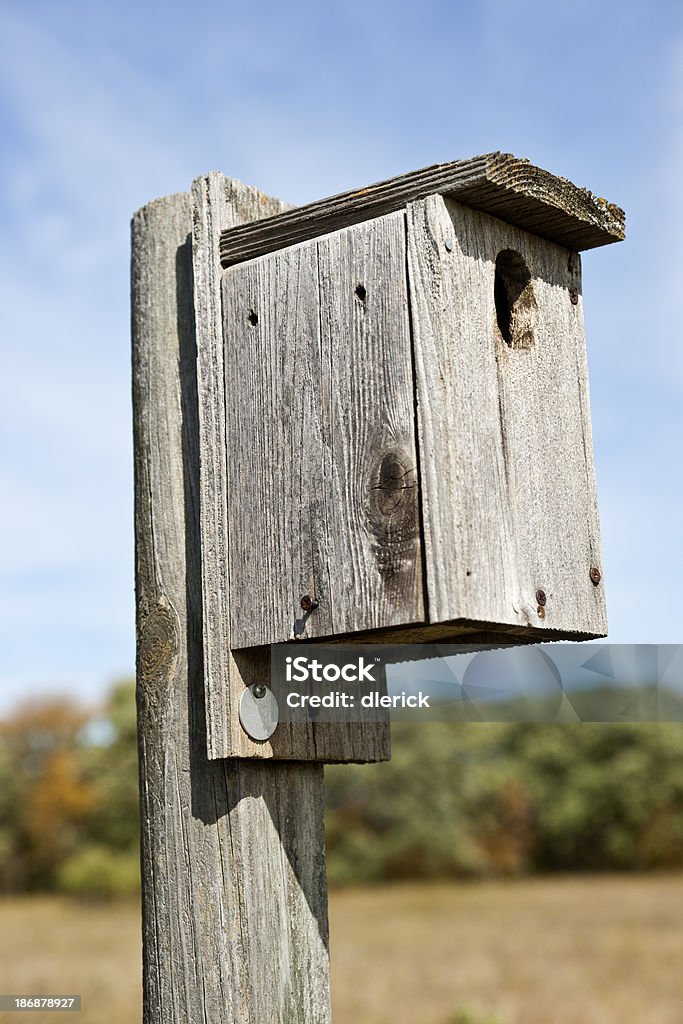 Vista laterale di un uccello casa su un Palo di legno - Foto stock royalty-free di Ambientazione esterna
