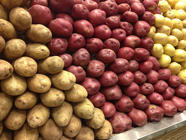 Cтоковое фото Коричневый, красный и желтый картофель