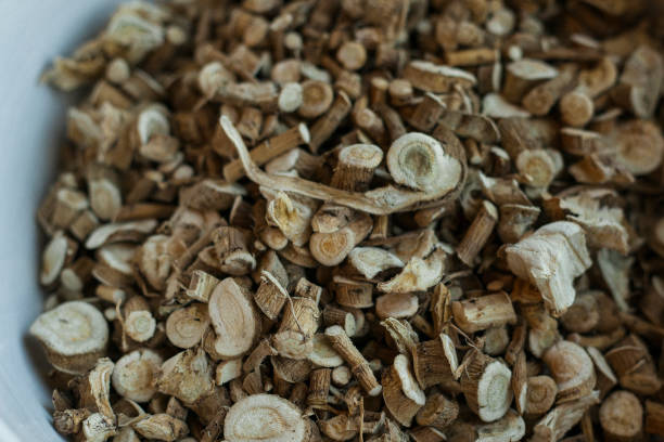 istock Close up of dried and cut Marshmallow root 1868794101