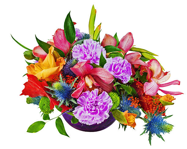 fiori bouquet di orchidee, gladioluses e carnations isolato o - flower purple gladiolus isolated foto e immagini stock