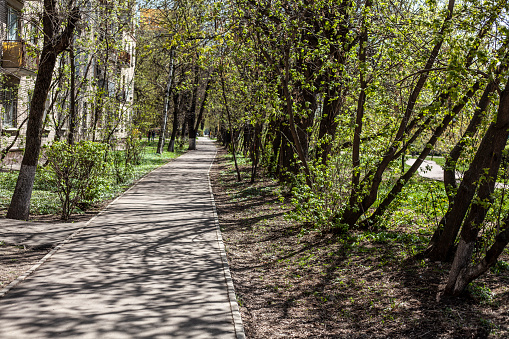 Path in the park. Shadow on the Path. Bright sun outside. in Moscow, Moscow, Russia