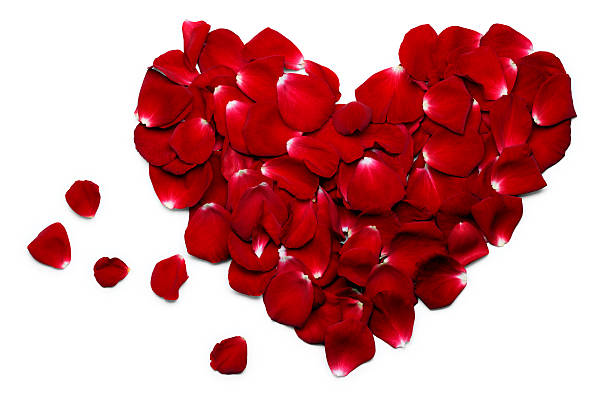 istock Love heart of rose petals 186879691