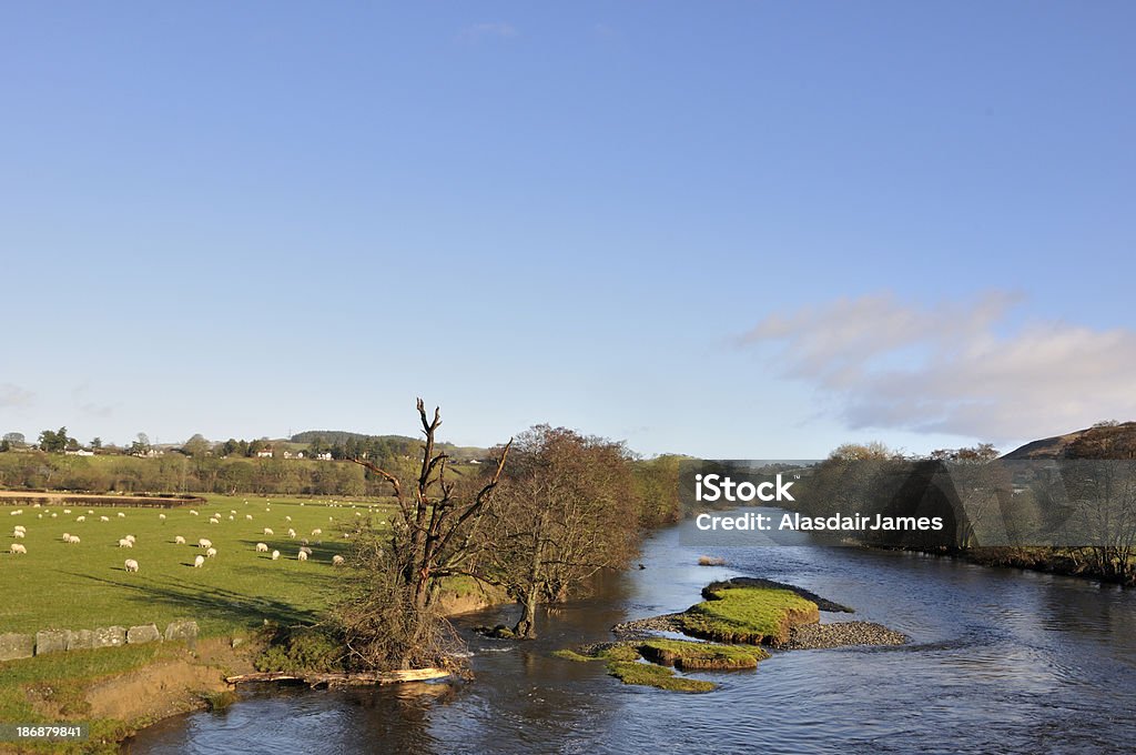 Fiume Dee in Corwen - Foto stock royalty-free di Fiume