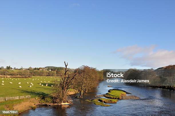 Fiume Dee In Corwen - Fotografie stock e altre immagini di Fiume - Fiume, Acqua, Ambientazione esterna