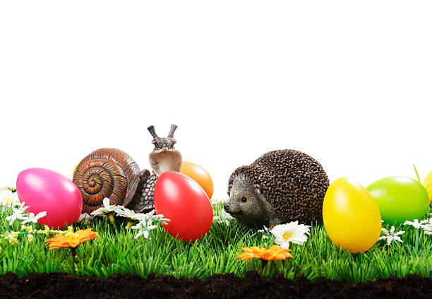 easter decoration wit small hedgehog and snail isolated on white
