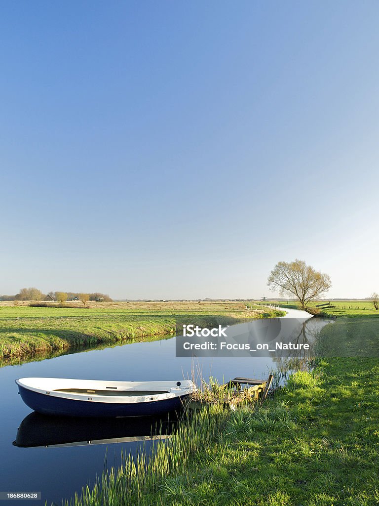 Holenderski polder Krajobraz w spring - Zbiór zdjęć royalty-free (Holandia)