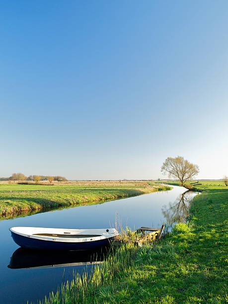 голландский polder пейзаж в спринг - polder стоковые фото и изображения