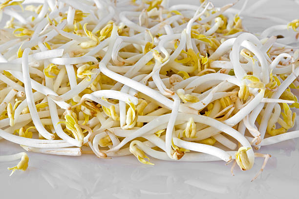 soja bean sprouts "Soybean sprouts, full frame" Sprouts stock pictures, royalty-free photos & images