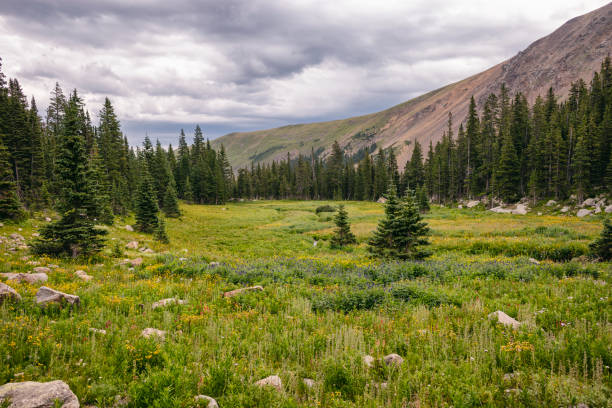 istock Landscape in the James Peak Wilderness, Colorado 1868807735