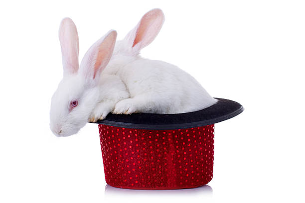 istock two adorable rabbits standing in a red hat 186880892
