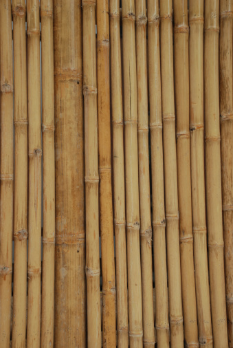 The bamboo wall to make a home.