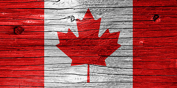istock Flag of Canada on Wood 186881340
