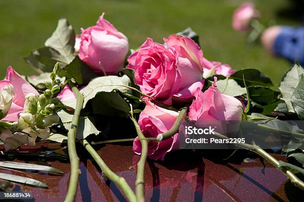 Beerdigungserie Stockfoto und mehr Bilder von Blume - Blume, Sarg, Fotografie