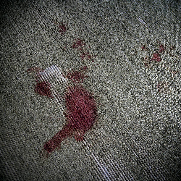 Blood on the carpet Genuine blood stains on an old carpet. splattered photos stock pictures, royalty-free photos & images