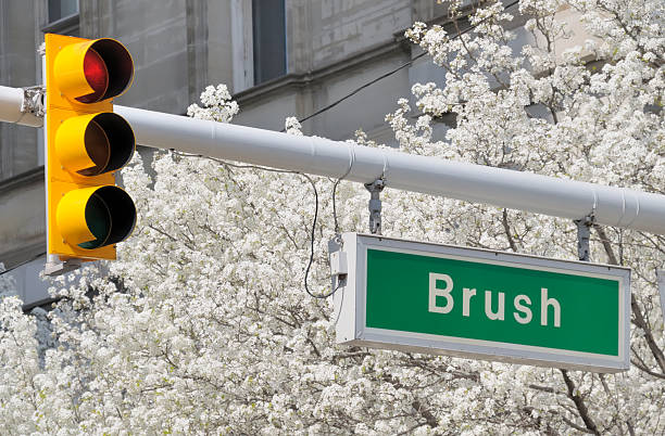 Brush Street, Detroit