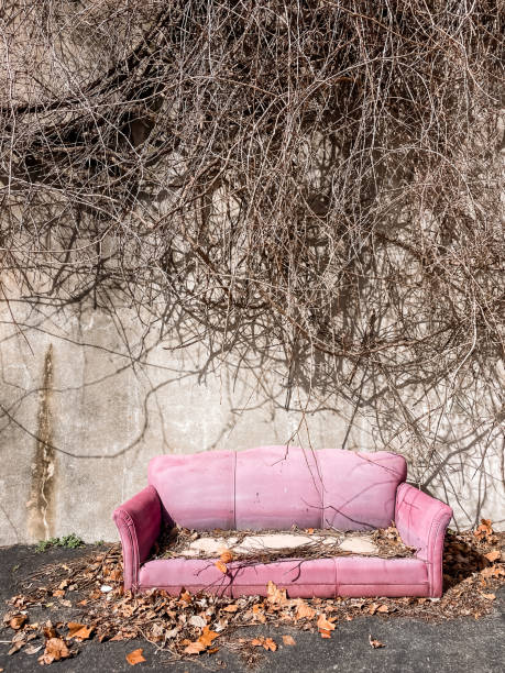 istock Old abandoned pink couch sitting outside under overgrown vines 1868822121