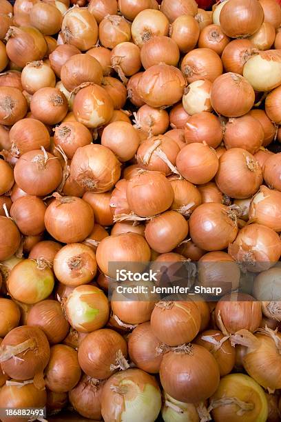 Onions Stock Photo - Download Image Now - Backgrounds, Brightly Lit, Color Image
