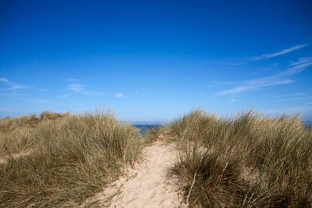 istock Sand dunes at Winterton on Sea 186882812