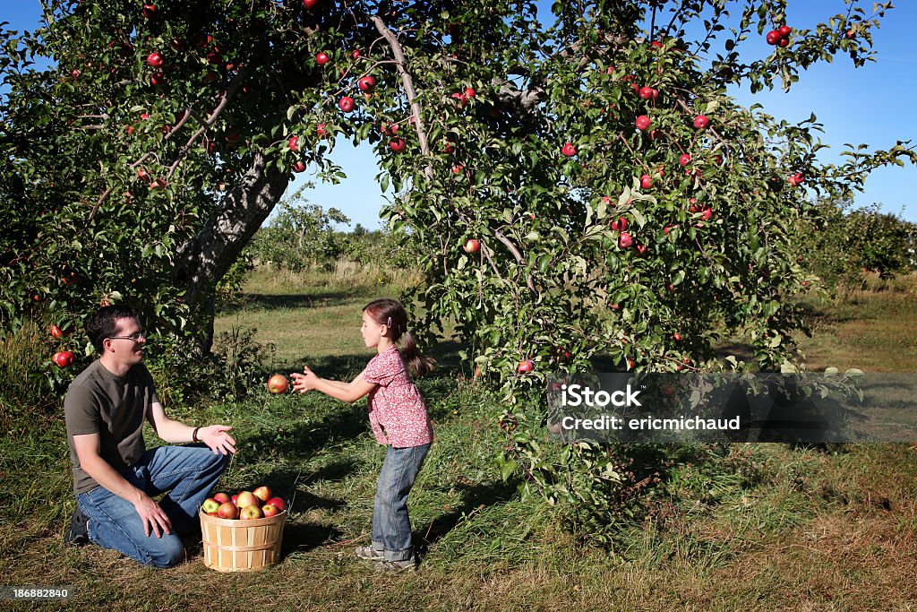 Father and daugther in an orchard Happy family in an orchard (Blurred motion) 4-5 Years Stock Photo