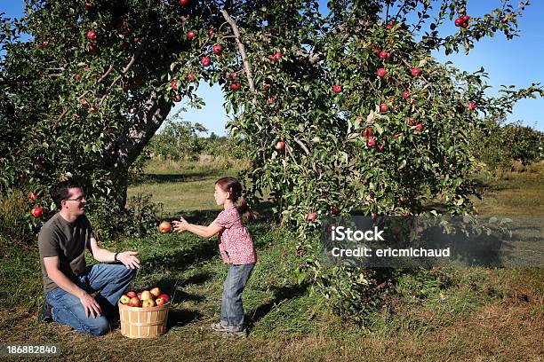 Father And Daugther In An Orchard Stock Photo - Download Image Now - 4-5 Years, 6-7 Years, Agriculture