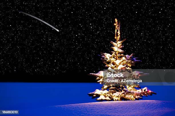 Foto de Desejo De Natal e mais fotos de stock de Natal - Natal, Milagre, Meteoro