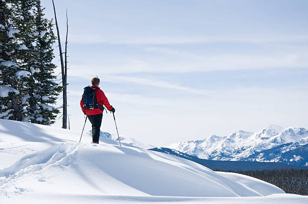esquiador disfruta de la vista a las montañas - skiing colorado sawatch range usa fotografías e imágenes de stock