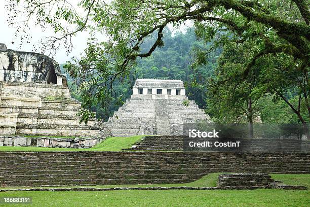 Palenqueruinen Stockfoto und mehr Bilder von Architektur - Architektur, Archäologie, Baum