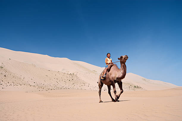 istock Mongolian girl riding on the camel 186883453