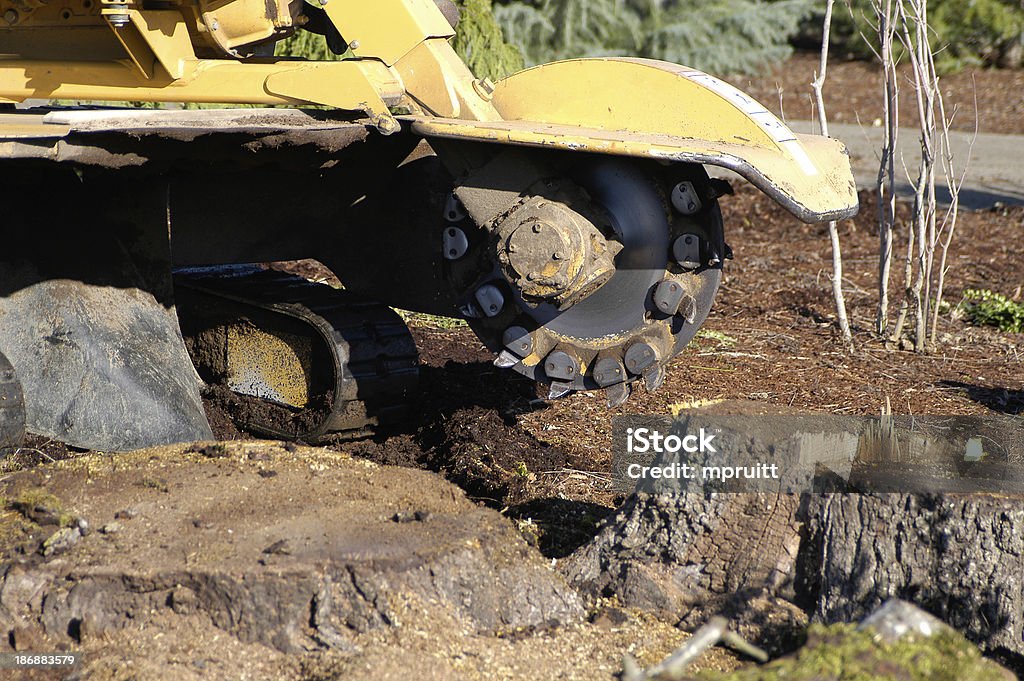 Tocón de árbol extracción - Foto de stock de Quitar libre de derechos