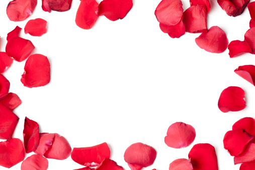 Frame made of red Rose petals.