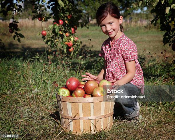 Chica En Un Orchard Foto de stock y más banco de imágenes de 4-5 años - 4-5 años, 6-7 años, Adolescente