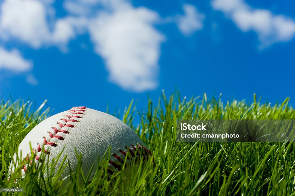 Nueva sesión en la hierba verde de béisbol - Foto de stock de Entrenamiento de béisbol en la primavera libre de derechos