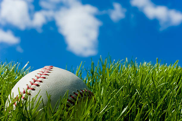 Baseball set on tall, green grass on a clear day Close-up of new baseball sitting in green grass against a blue sky and clouds spring training stock pictures, royalty-free photos & images