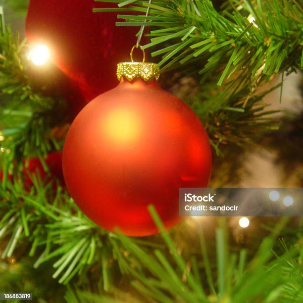 Terrazza Della Hall - Fotografie stock e altre immagini di Albero - Albero, Albero di natale, Cerimonia