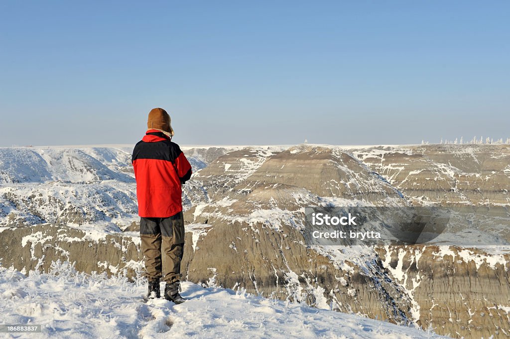 Homem de pé na margem do Horseshoe Canyon perto Drumheller - Royalty-free Admirar a Vista Foto de stock
