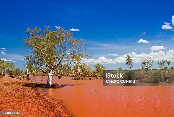 Foto de Billabong Com Árvore E Céu Azul No Outback e mais fotos de stock de Alagado - Água parada - Alagado - Água parada, Areia, Austrália Ocidental