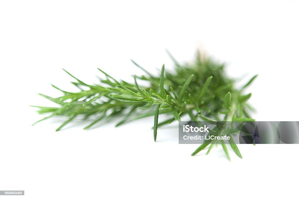 Sprig of Rosemary - 로열티 프리 나뭇가지 스톡 사진
