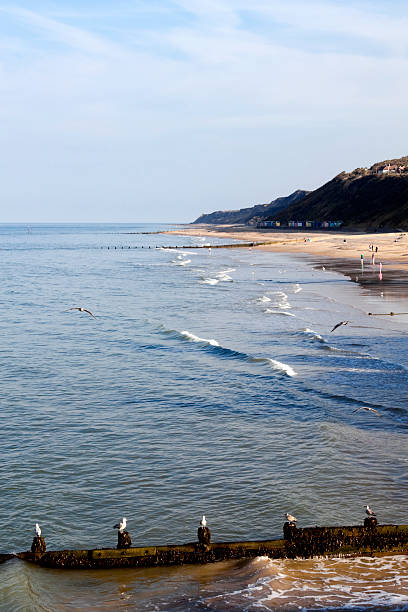 갈매기에게 빵 던지기 및 크로머 플라주 - beach hut beach cromer hut 뉴스 사진 이미지