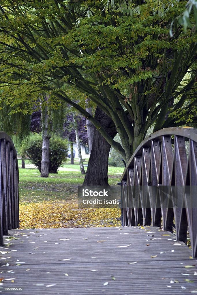wooden bridge wooden bridge in a park Autumn Stock Photo