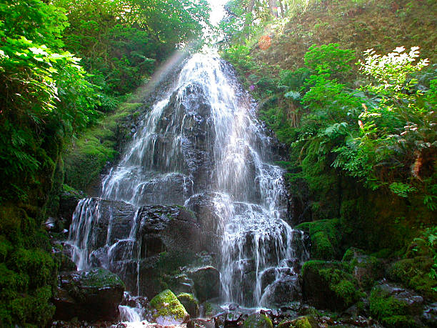Wasserfall Fairy Falls – Foto