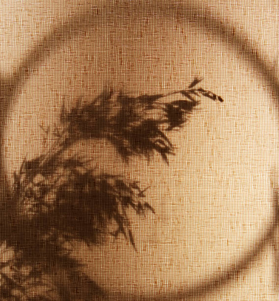 istock Light and shadow sunset on old retro beige fabric texture.  vintage textile background. Abstract backdrop with floral pattern and crossed lines shadows. Wabi sabi style aestetics 1868905895
