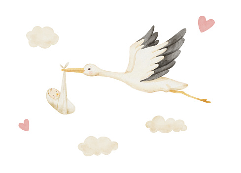 Cute stork flies and carries newborn baby in clouds. Watercolor illustration isolated on white.