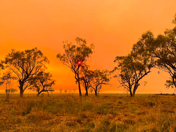 istock Orange Bush fire sky in North West NSW 1868930853