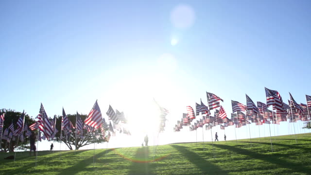 Numerous american flags waving in the wind