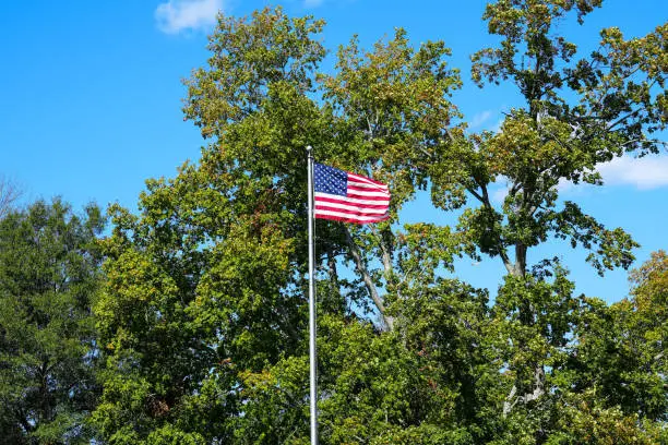 American flag waving in the wind against a bright blue sky among the green oak tree branches