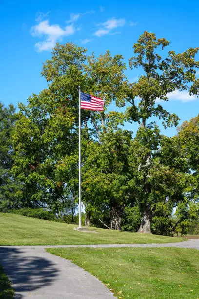 American flag waving in the wind on a tall pole against a bright blue sky among the green oak tree branches